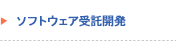 ソフトウェア受託開発